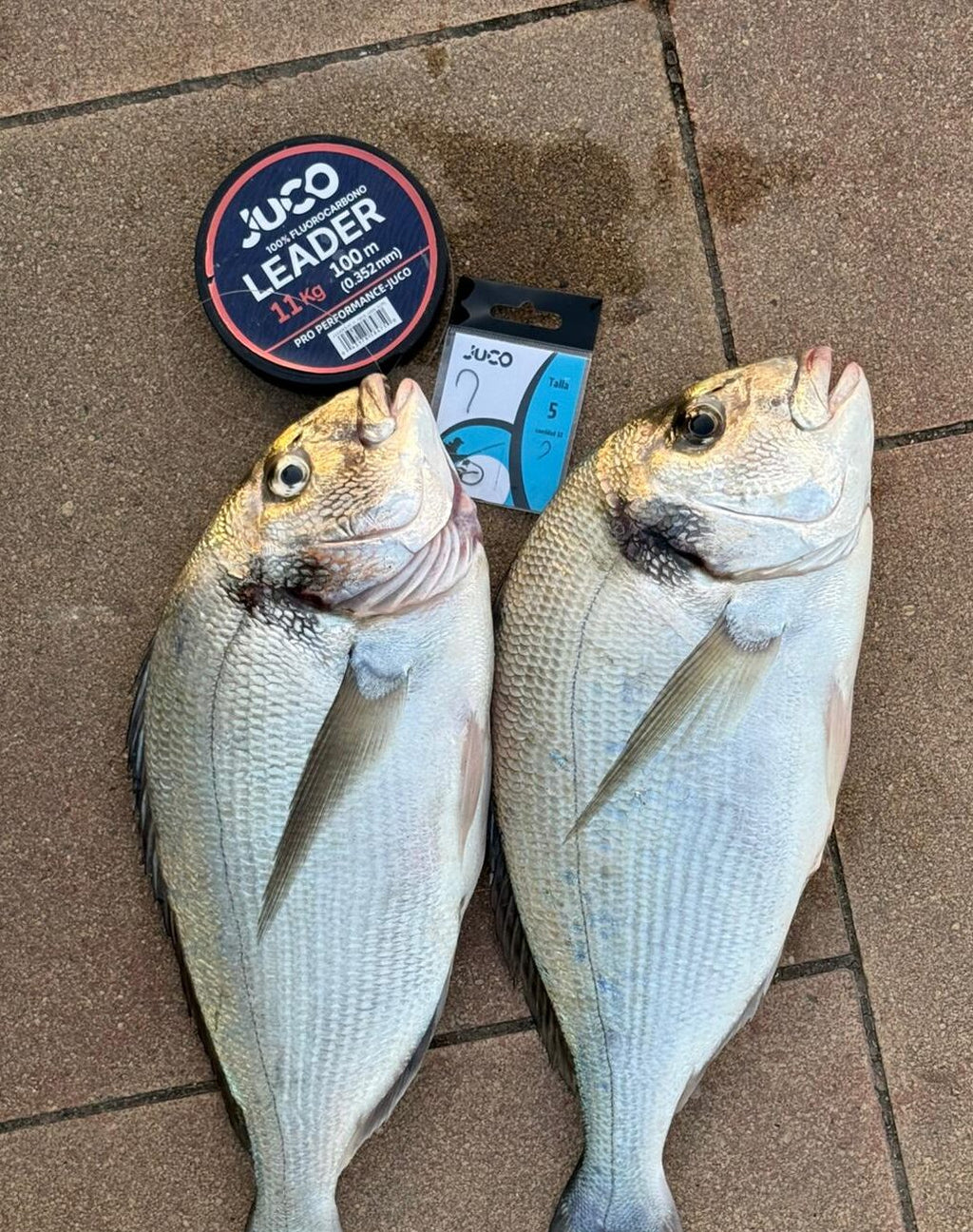 Linea JUCO 100% Fluorocarbono Leader 11Kg