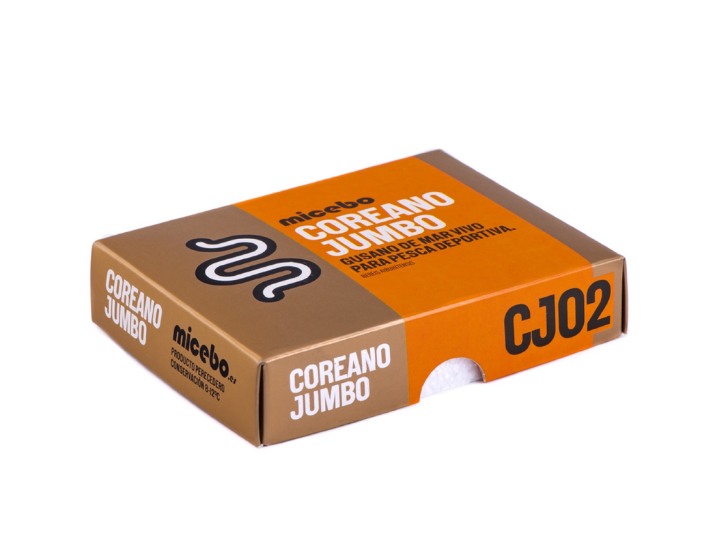 Coreano Jumbo - Caja de lombriz coreana Nereis jumbo para pesca