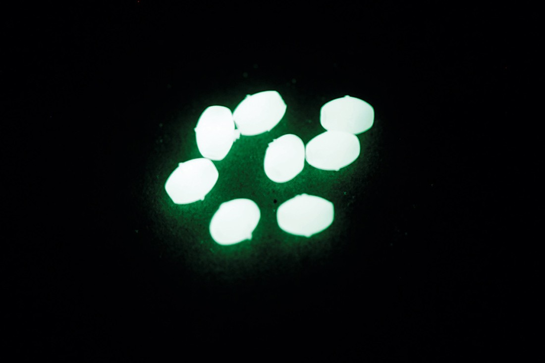 Perlitas blandas VERCELLI OVAL LUM BVPS1 - efecto luminoso en oscuridad